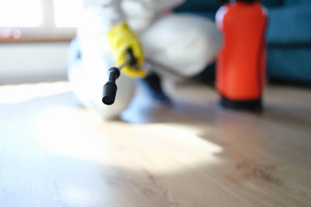 Best Post-Construction Mold Inspection  in Albion, MI