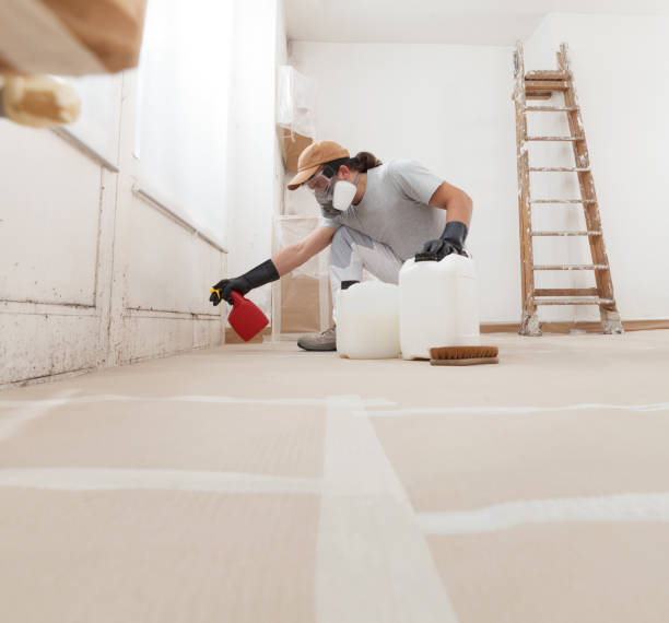 Best Forensic Mold Investigation  in Albion, MI